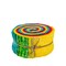 Expressions Batiks Elementals 2.5" Strip Roll (Jelly Roll / Rolie Polie) in Rainbow Brights by Riley Blake Designs for Riley Blake (RP-21701-40)